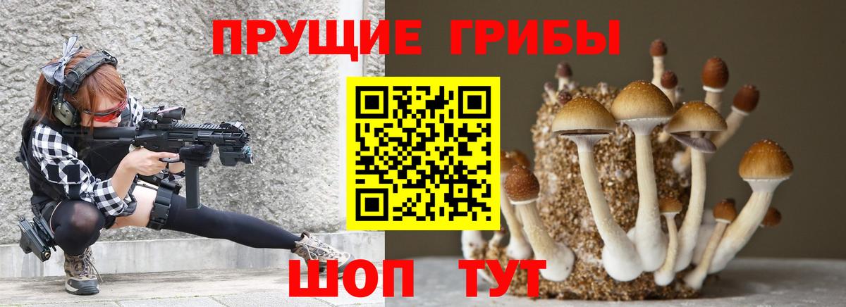 Кингисепп  Псилоцибиновые грибы прущие грибы  Вход с VPN 